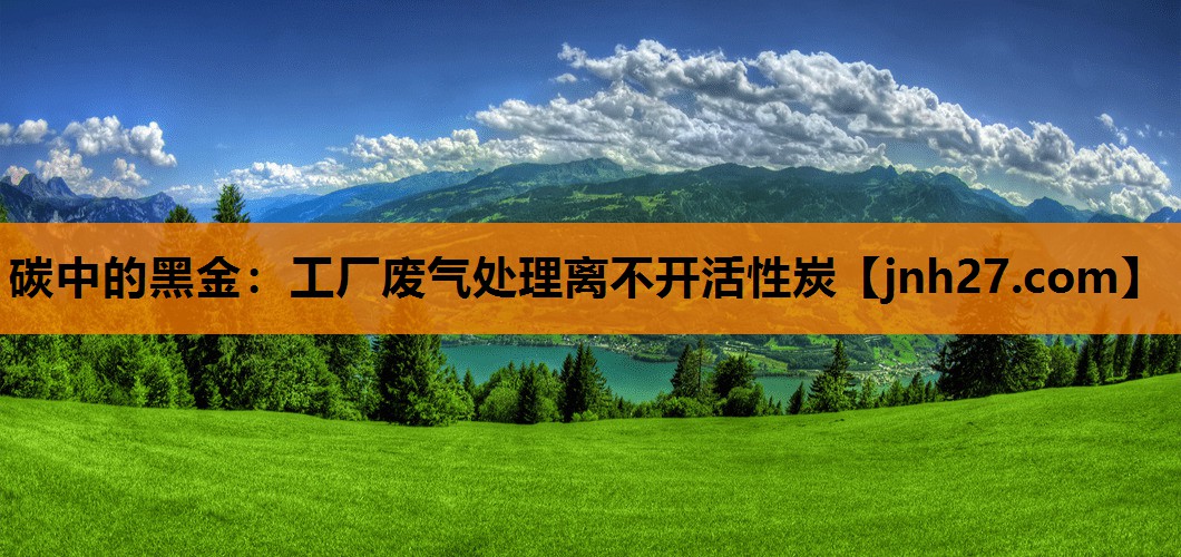 碳中的黑金：工厂废气处理离不开活性炭