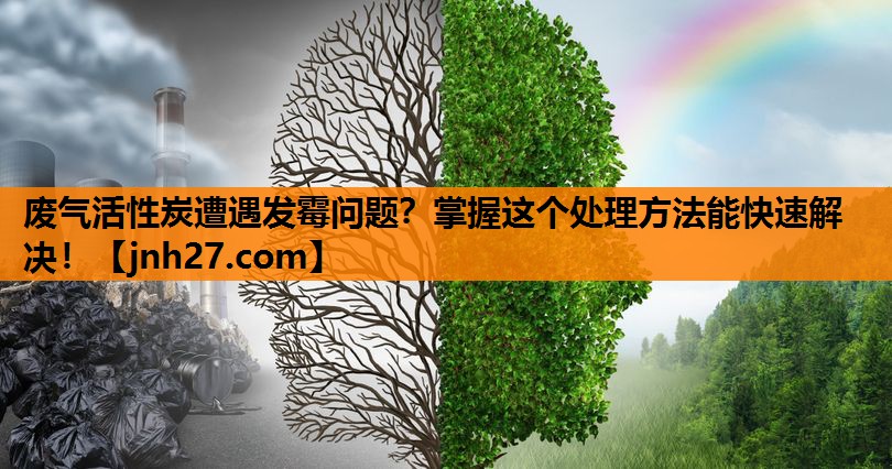 废气活性炭遭遇发霉问题？掌握这个处理方法能快速解决！