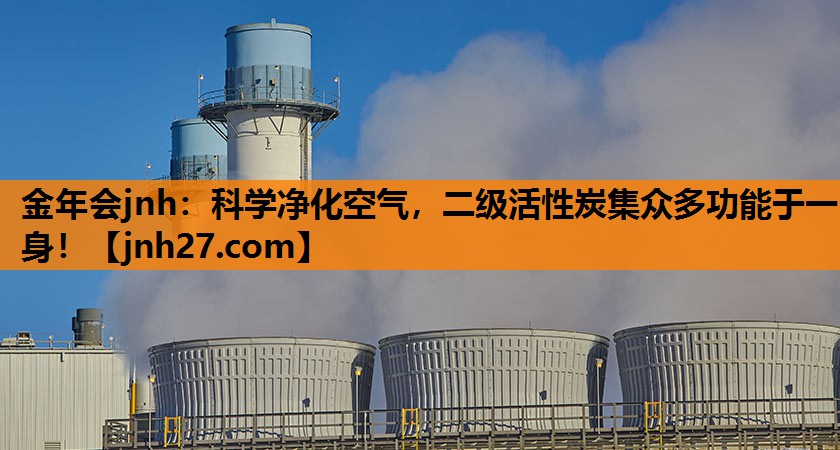 金年会jnh：科学净化空气，二级活性炭集众多功能于一身！