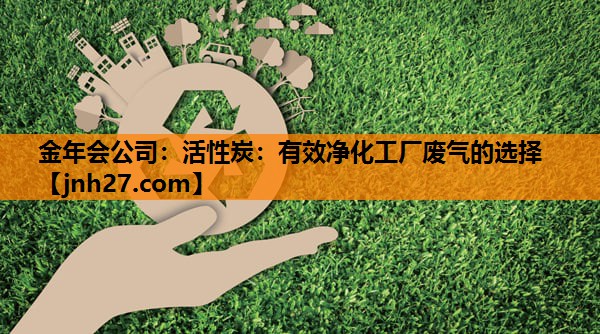 金年会公司：活性炭：有效净化工厂废气的选择