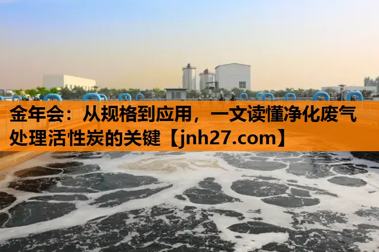 金年会：从规格到应用，一文读懂净化废气处理活性炭的关键