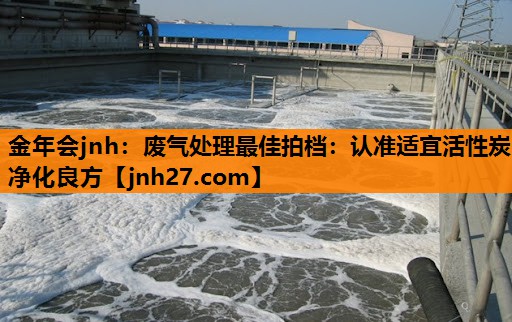<strong>金年会jnh：废气处理最佳拍档：认准适宜活性炭净化良方</strong>