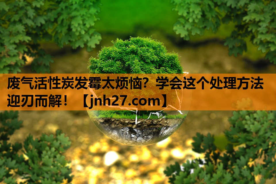 废气活性炭发霉太烦恼？学会这个处理方法迎刃而解！