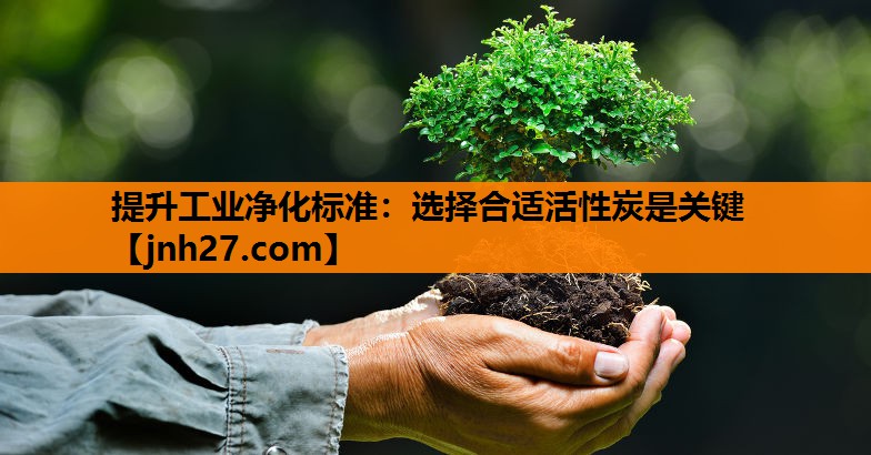 提升工业净化标准：选择合适活性炭是关键