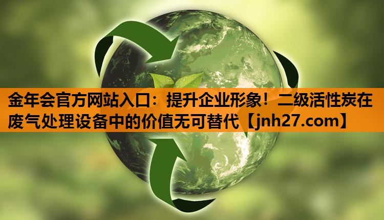 提升企业形象！二级活性炭在废气处理设备中的价值无可替代