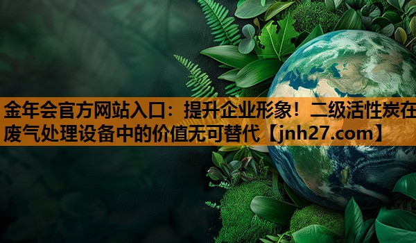 提升企业形象！二级活性炭在废气处理设备中的价值无可替代