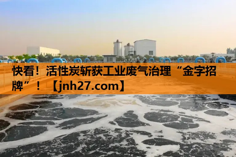 快看！活性炭斩获工业废气治理“金字招牌”！