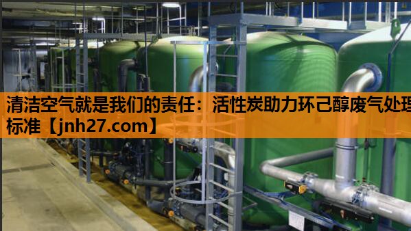 清洁空气就是我们的责任：活性炭助力环己醇废气处理标准