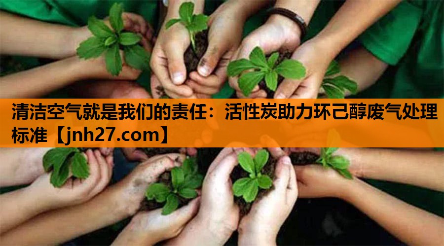 清洁空气就是我们的责任：活性炭助力环己醇废气处理标准