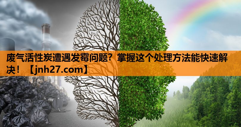 废气活性炭遭遇发霉问题？掌握这个处理方法能快速解决！