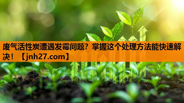 废气活性炭遭遇发霉问题？掌握这个处理方法能快速解决！