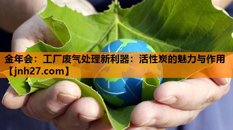 工厂废气处理新利器：活性炭的魅力与作用