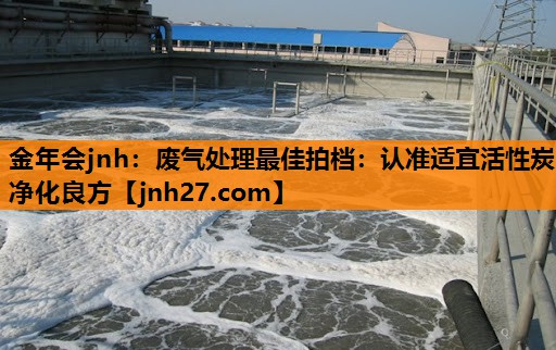 废气处理最佳拍档：认准适宜活性炭净化良方